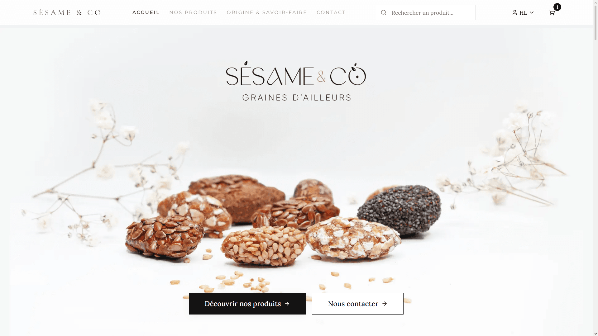 Aperçu du site Sésame & Co